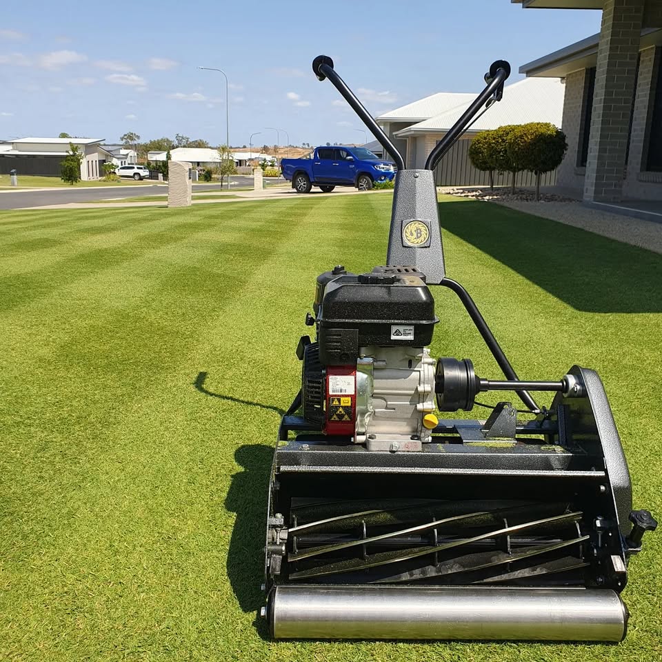 Professional lawn care services