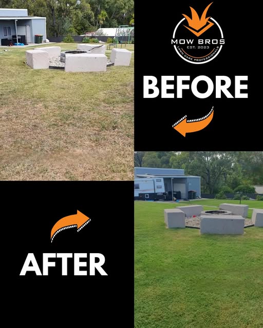 Professional lawn care services