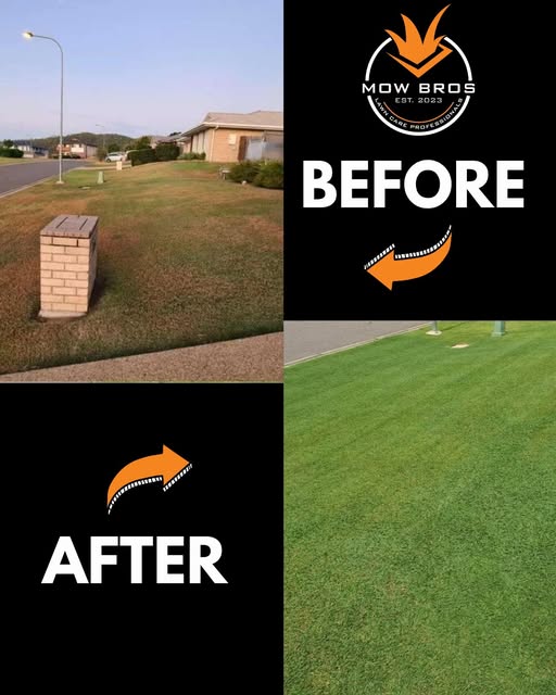 Garden maintenance project